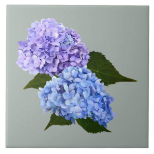 Two Hydrangea Lavender and Blue Tile