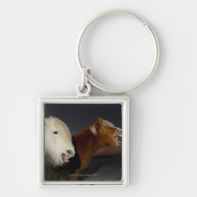 Two Icelandic horses Key Ring (Front)