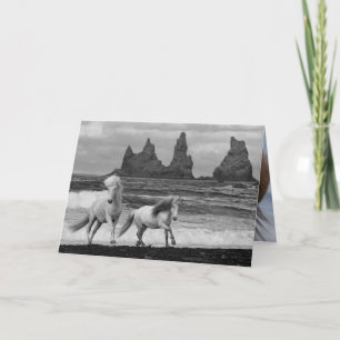 Two Icelandic Horses Leap Horse Greeting Card