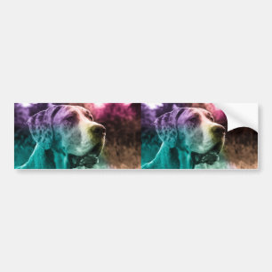 Two images Car Bumper Sticker