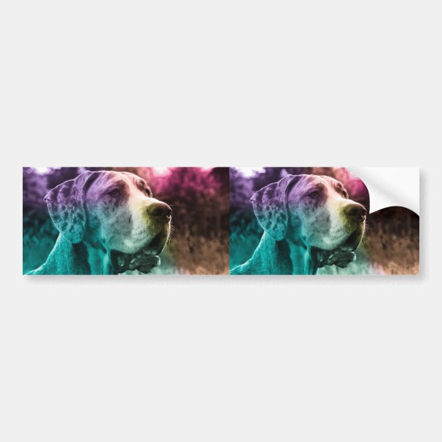 Two images Car Bumper  Sticker (Front)
