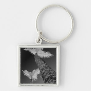 Two infrared palm trees. key ring