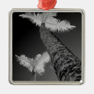 Two infrared palm trees. metal tree decoration