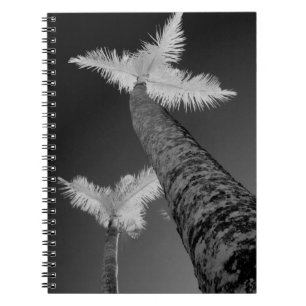 Two infrared palm trees. notebook