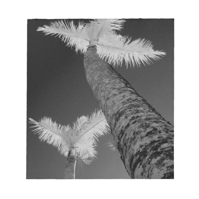 Two infrared palm trees. notepad (Front)
