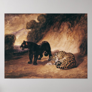 Two Jaguars from Peru Poster