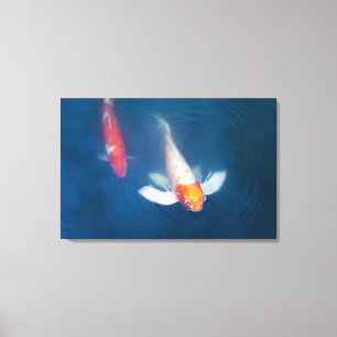 Two Japanese koi fish in pond Canvas Print