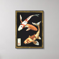 Two Japanese Koi Goldfish on Black Background