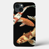 Two Japanese Koi Goldfish on Black Background
