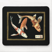 Two Japanese Koi Goldfish on Black Background