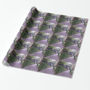two kids in park wrapping paper