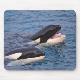 Two killer whales mouse mat