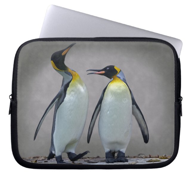 Two Kings Laptop Sleeve (Front)