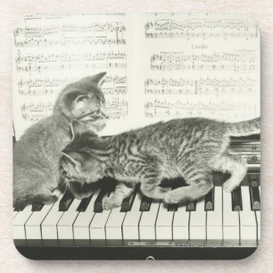 Two kitten playing on piano keyboard, (B&W) Coaster