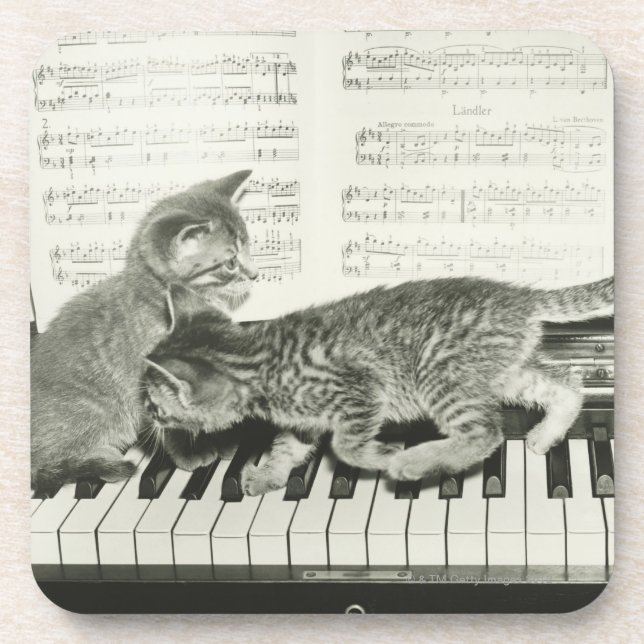 Two kitten playing on piano keyboard, (B&W) Coaster (Front)
