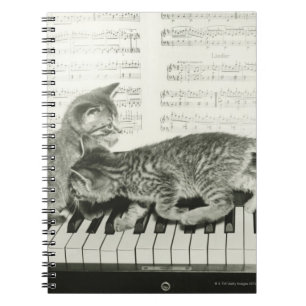 Two kitten playing on piano keyboard, (B&W) Notebook