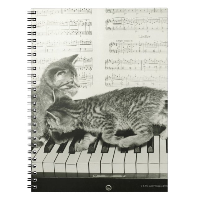 Two kitten playing on piano keyboard, (B&W) Notebook (Front)