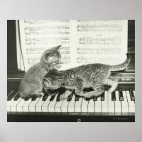 Two kitten playing on piano keyboard, (B&W)