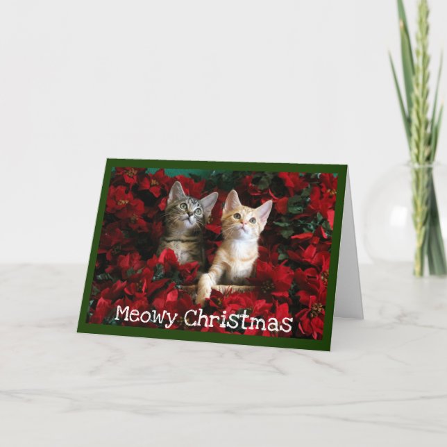 Two Kittens and Poinsettias Holiday Card (Front)