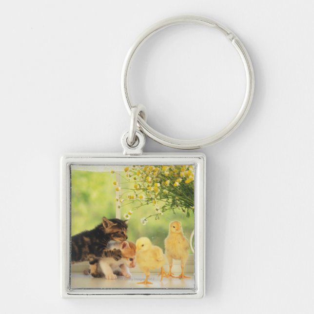 Two Kittens and Two Chicks Playing, Front View, Key Ring (Front)