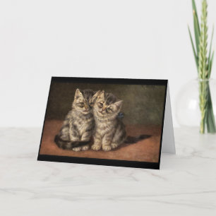 Two kittens. Boy, girl. Love, anniversary Card