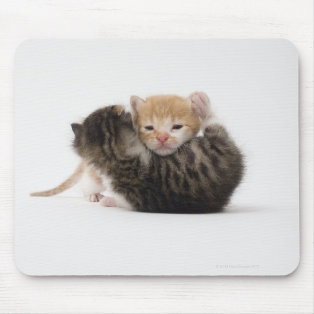 Two kittens cuddling on white background mouse mat (Front)
