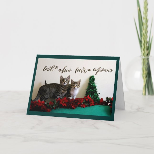 Two Kittens for Christmas Holiday Card (Front)