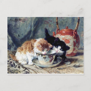 Two kittens having tea party postcard