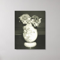 Two kittens hiding in vase, (B&W)