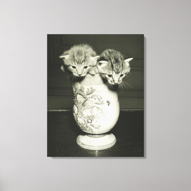 Two kittens hiding in vase, (B&W) Canvas Print (Front)