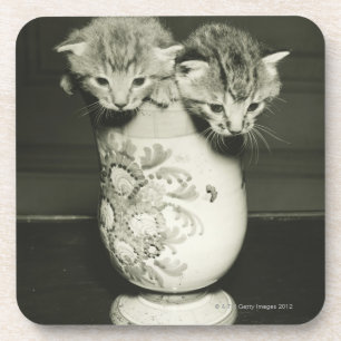 Two kittens hiding in vase, (B&W) Coaster
