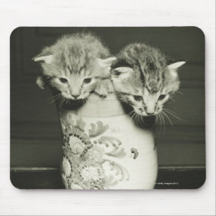 Two kittens hiding in vase, (B&W) Mouse Mat