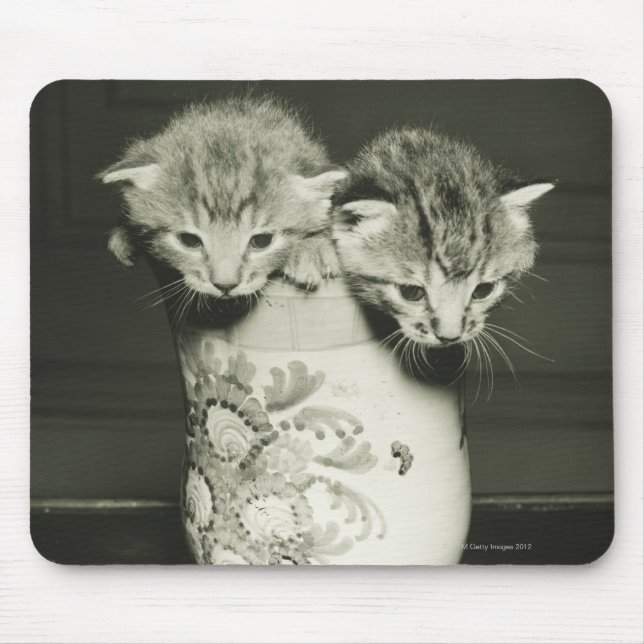 Two kittens hiding in vase, (B&W) Mouse Mat (Front)