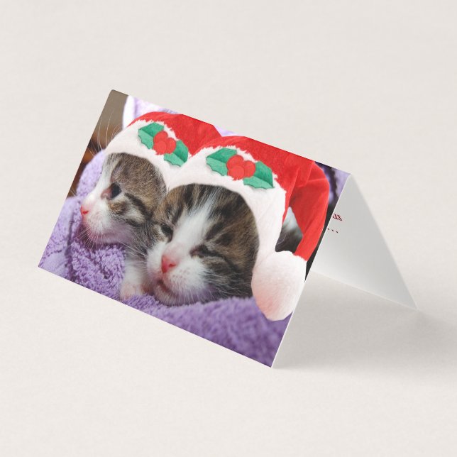 Two Kittens in Santa Hats Merry Christmas Card (Front)