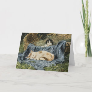 Two Kittens Julius Adam the Younger Card