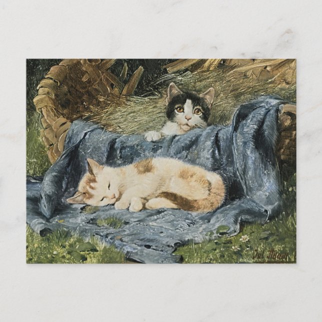 Two Kittens | Julius Adam the Younger Postcard (Front)