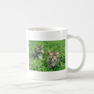 Two kittens playing in the grass coffee mug