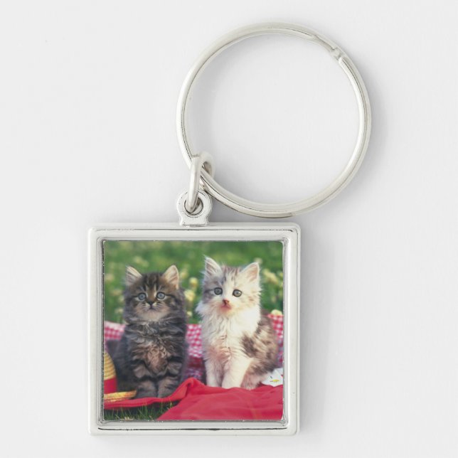 Two Kittens Sitting On A Red-Coloured Blanket Key Ring (Front)