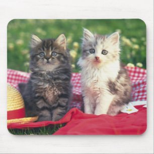 Two Kittens Sitting On A Red-Coloured Blanket Mouse Mat