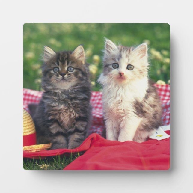 Two Kittens Sitting On A Red-Coloured Blanket Plaque (Front)