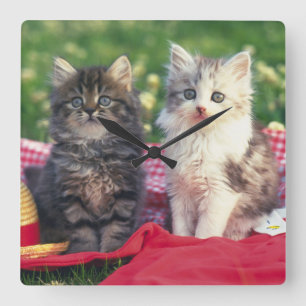 Two Kittens Sitting On A Red-Coloured Blanket Square Wall Clock