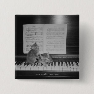 Two kittens sitting on piano keyboard by sheet 15 cm square badge
