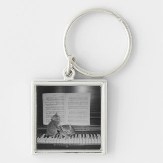 Two kittens sitting on piano keyboard by sheet key ring