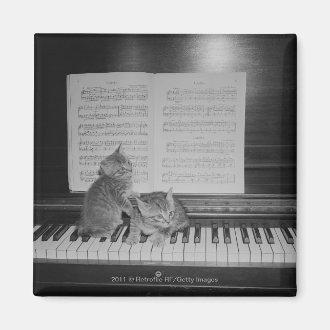 Two kittens sitting on piano keyboard by sheet magnet (Front)