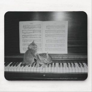 Two kittens sitting on piano keyboard by sheet mouse mat