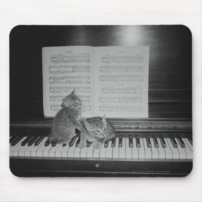 Two kittens sitting on piano keyboard by sheet mouse mat (Front)