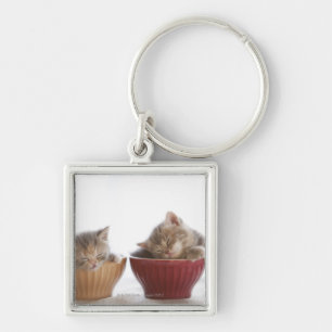 Two Kittens Sleeping in Bowls Key Ring