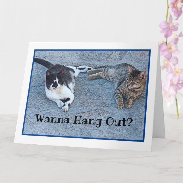 TWO KITTENS /WANNA HANG OUT? /I'VE MISSED YOU CARD (Orchid)