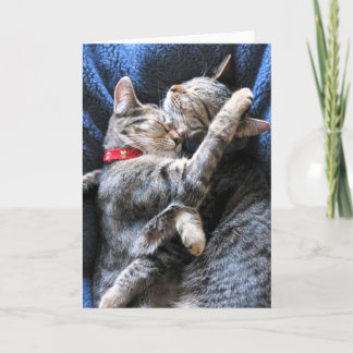 Two Kitties Card