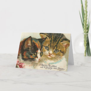 Two Kitties Christmas Holiday Card